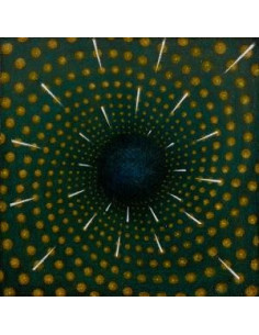 Reza Mortazavi, Moha - Nexus