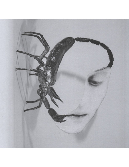 Tortoise - Touch - (CD)