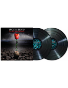 Spock'S Beard - The Archaeoptimist