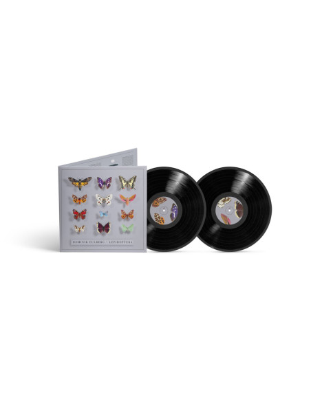 Eulberg, Dominik - Lepidoptera