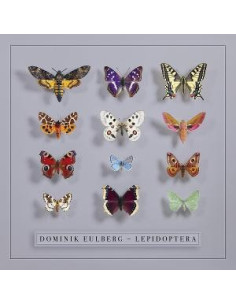 Eulberg, Dominik - Lepidoptera - (CD)