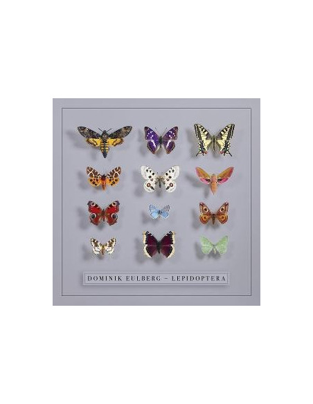 Eulberg, Dominik - Lepidoptera - (CD)