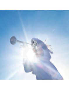 Geese - Getting Killed - (CD)