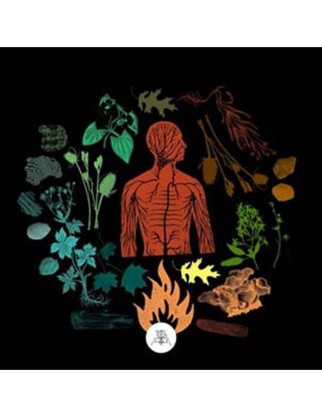 Camp Of Wolves - Bear Creek - (CD)