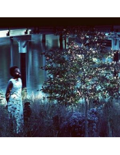 Jjjjjerome Ellis - Vesper Sparrow - (CD)