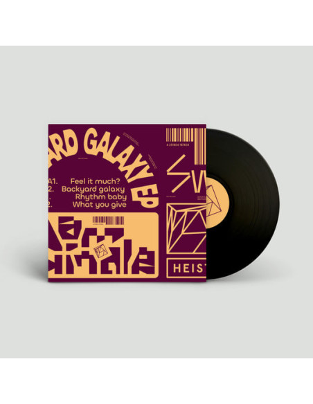 Dam Swindle - Backyard Galaxy Ep