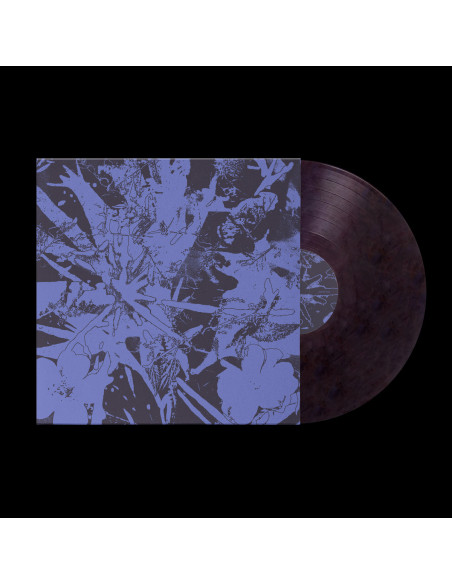 Plants Heal - Forest Dwellers