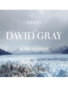 Gray, David - Life In Slow Motion (20Th Anniversary Edition)