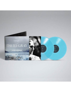 Gray, David - Life In Slow Motion (20Th Anniversary Edition) Blue 2 LP