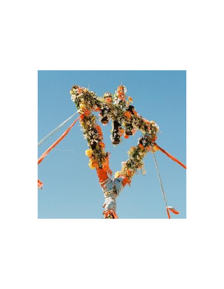 Devil Wears Prada, T - Flowers - (CD)