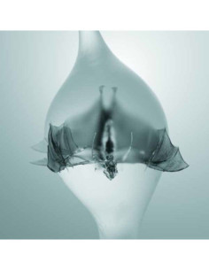 Unprocessed - Angel - (CD)