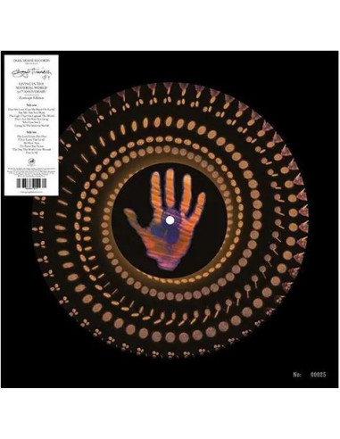 Harrison George - Living In The Matererial World (Black Friday 2025)