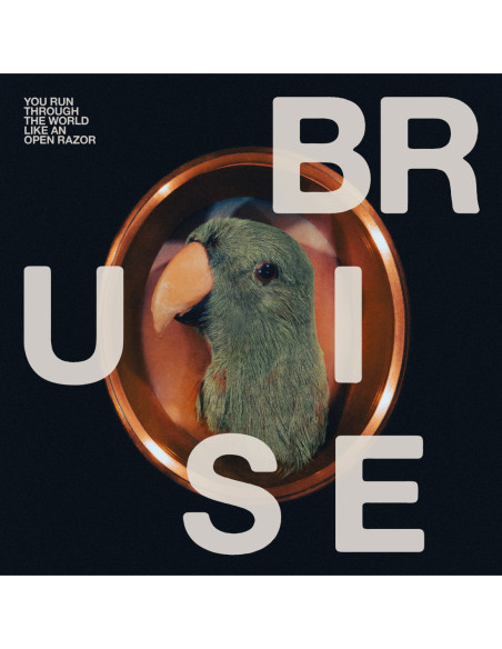 Bruise Blood - You Run Through The World Like An Open R