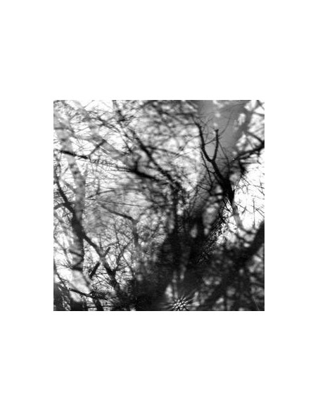 Grouper - Way Their Crept