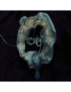 Ship Sket - Initiatrix