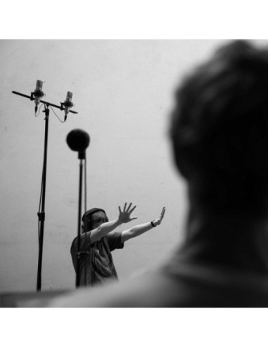 Van Haegenborgh, Mus - Affordances