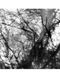 Grouper - Way Their Crept - (CD)