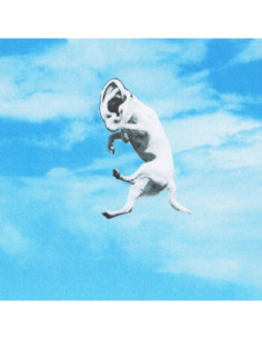 Dissidio - Magari Ci Sara Un Futuro Migliore