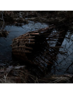 Silverio Massimo - Surtum