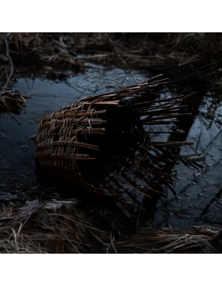 Silverio Massimo - Surtum Silverio Massimo - Surtum