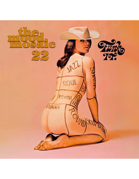 Compilation - The Mood Mosaic 22 Compilation - The Mood Mosaic 22
