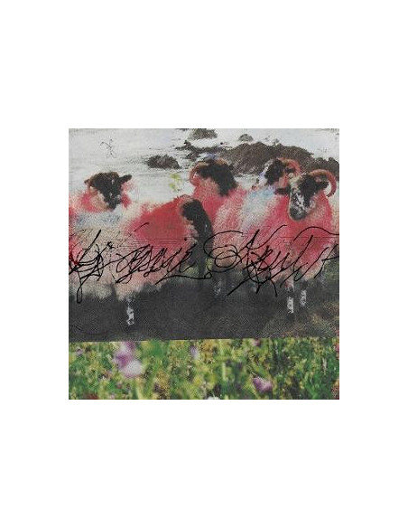 Krut, Kassie - Kassie Kru