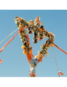 Devil Wears Prada, T - Flowers Colored vinyl