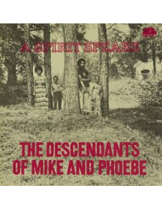 Lee, Bill and The Descen... - A Spirit Speaks - (CD)