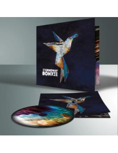 Stornoway - Bonxie - (CD)