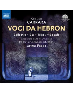 Fagen Arthur Dir - Voci Da Hebron - (CD)