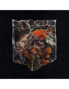 Shields - Death and Connection - (CD)