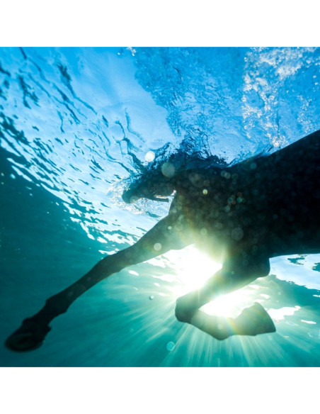 Dream Nails - You Wish - (CD)