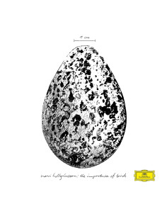 Hallgrimsson Snorri - The Importance Of Birds