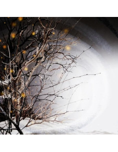 Winterlight - Winterlight