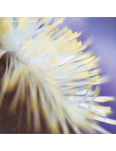 Dimi Angelis - Nech034