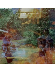 Heynderickx, Haley - What Of Our Nature