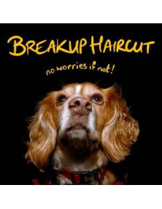 Breakup Haircut - No Worries If Not - (CD)