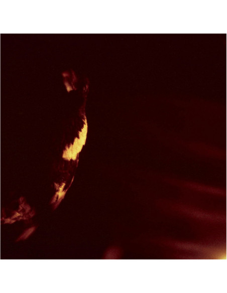 Skepticism - Stormcrowfleet - (CD)