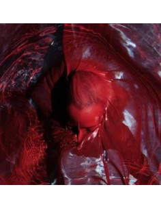 Blackwater Holylight - Not Here Not Gone - (CD)