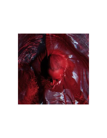 Blackwater Holylight - Not Here Not Gone - (CD)