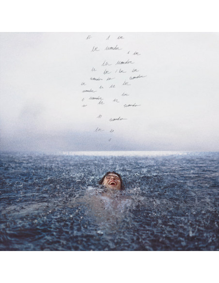 Shawn Mendes - Wonder