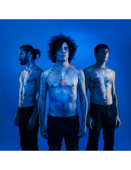 The Zen Circus - L'Ultima Casa Accogliente