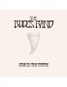 Budos Band - Long In The Tooth