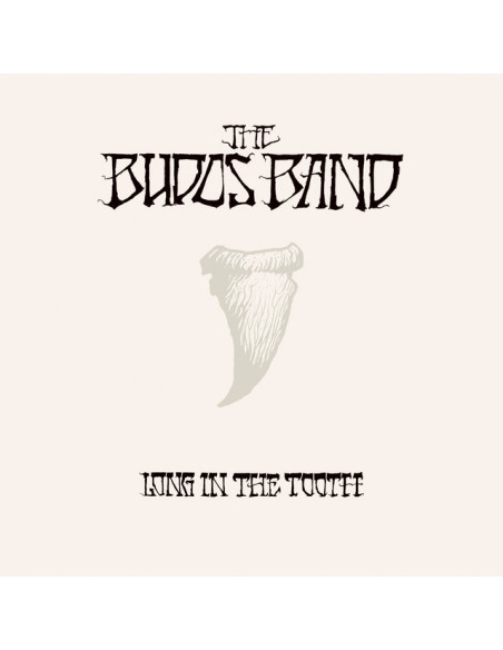 Budos Band - Long In The Tooth