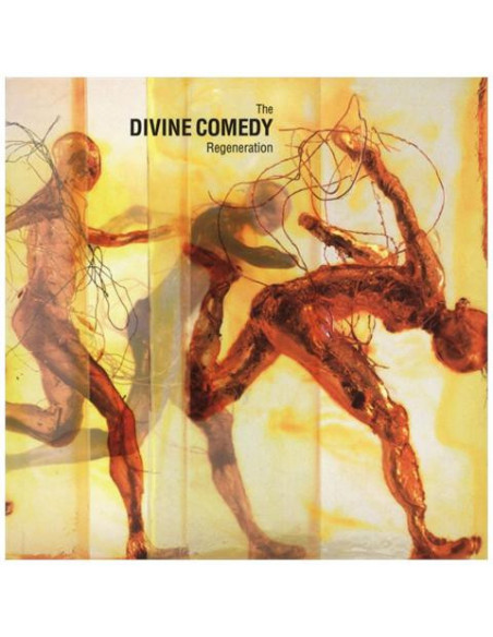 Divine Comedy The - Regeneration (Lp + Download Card + Foto)
