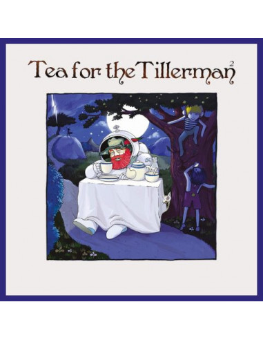 Stevens Cat - Tea For The Tillerman 2