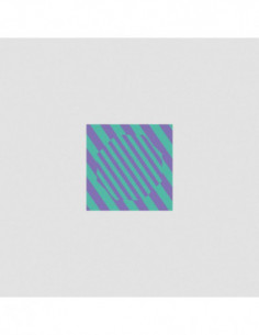 Caribou - Never Come Back (12" Four Tet,Morgan Geist Remixes)