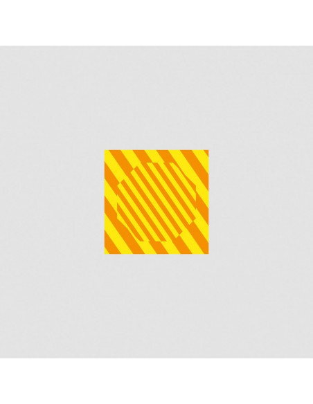 Caribou - Never Come Back, Sister (12" Floating Points Remix)