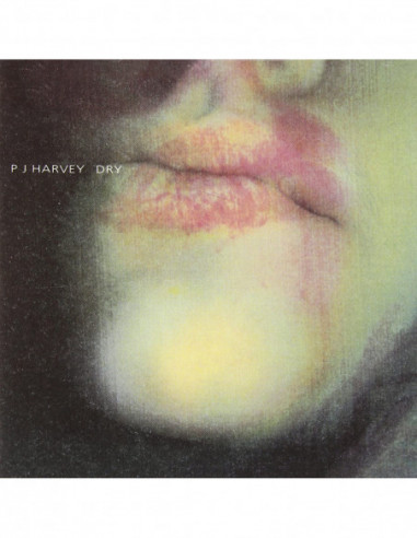 Harvey Pj - Dry