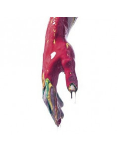 Nayt - Raptus